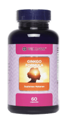 gingko-formula1